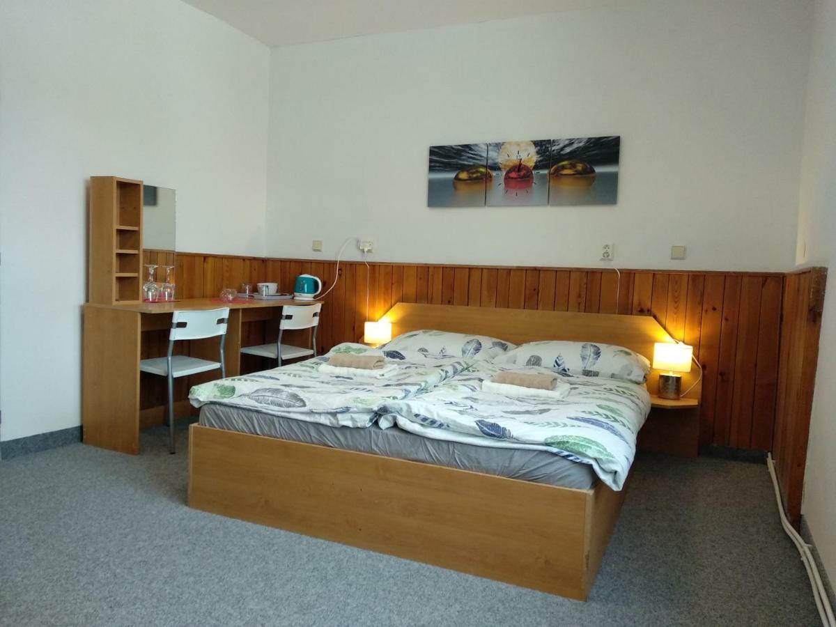 Hotel Prazdninovy Dum Na Panorame à Jáchymov Extérieur photo